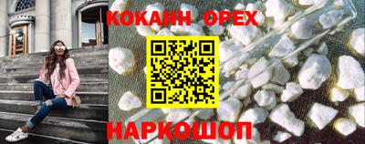 a pvp Новодвинск