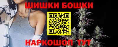 a pvp Новодвинск