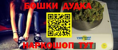 a pvp Новодвинск