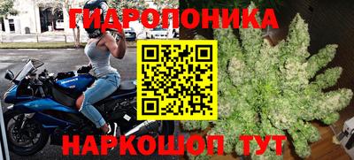 a pvp Новодвинск