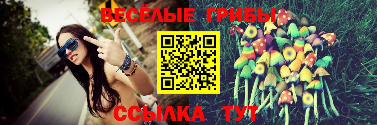 Галлюциногенные грибы Cubensis  Вход с VPN  Псилоцибиновые грибы ЛСД  Сургут 